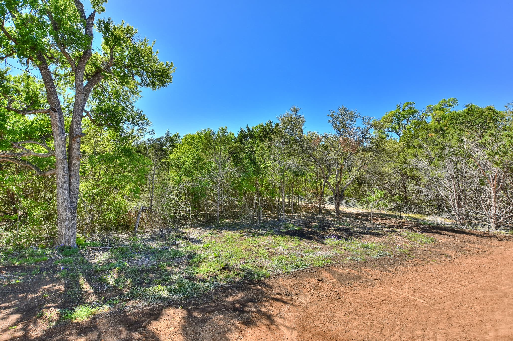 Wooded Hill Country lot with mature oaks and cedar seen from the back of the house
